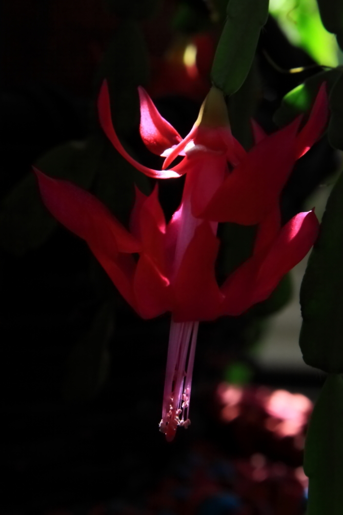 2012 02 17 6483